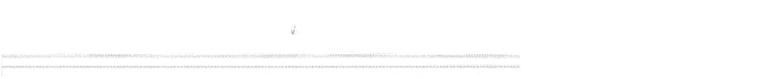 Chipping Sparrow - ML644327604