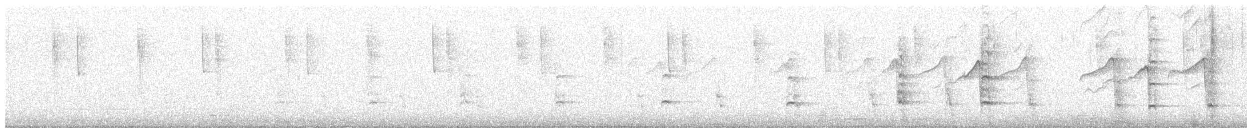 Red-tailed Hawk - ML644327748