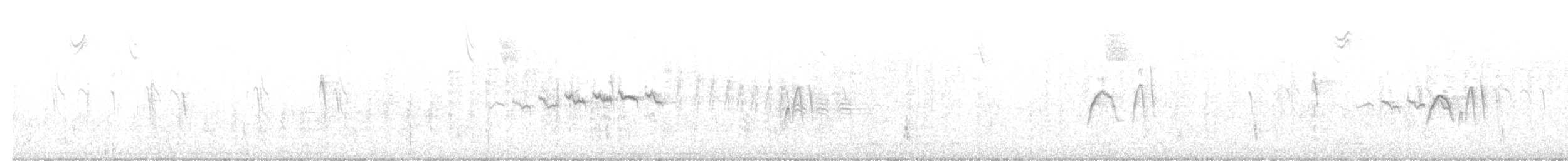 Yellow-rumped Warbler (Myrtle) - ML644327764