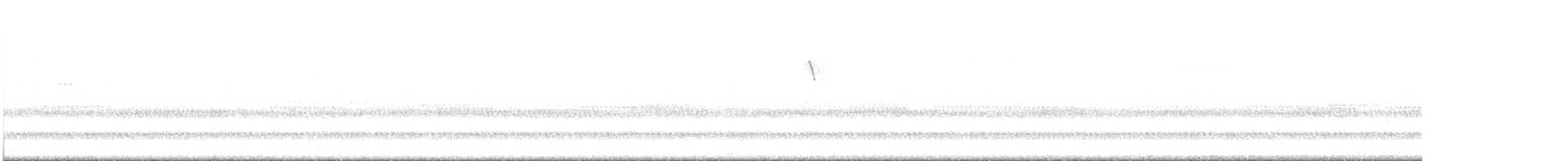 stryparula - ML644327964