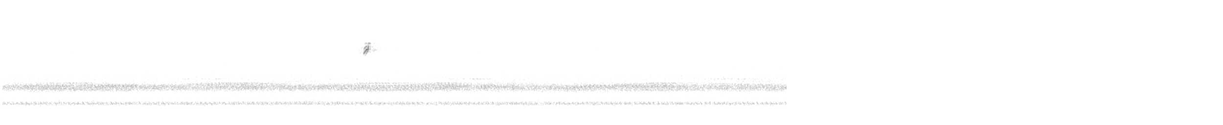 Parulidae sp. - ML644328037