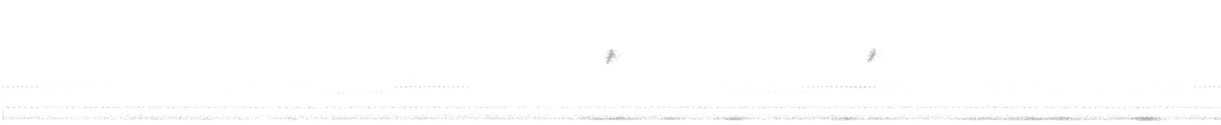 Parulidae sp. - ML644328038