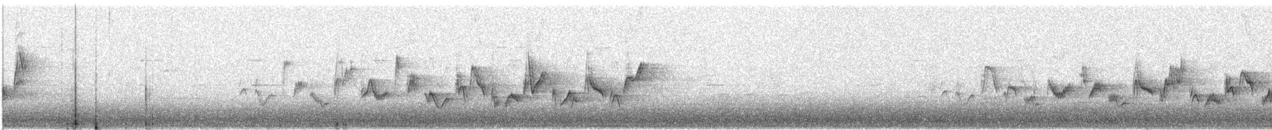 Viréo de Swainson - ML644328151