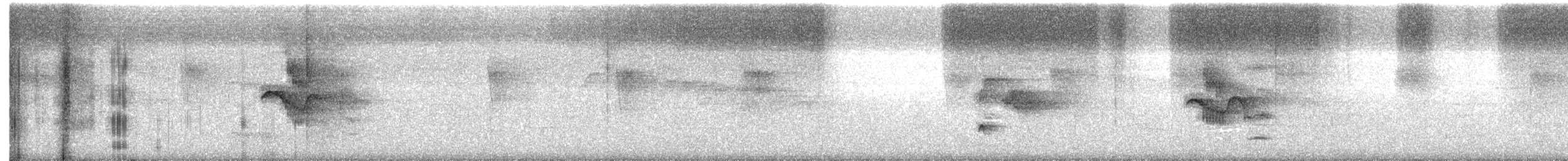 Northern Plain-Xenops - ML644328493