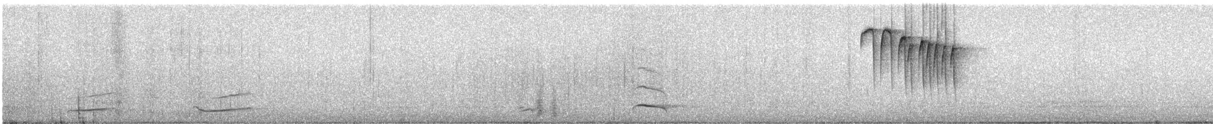 カナダカケス - ML644330621