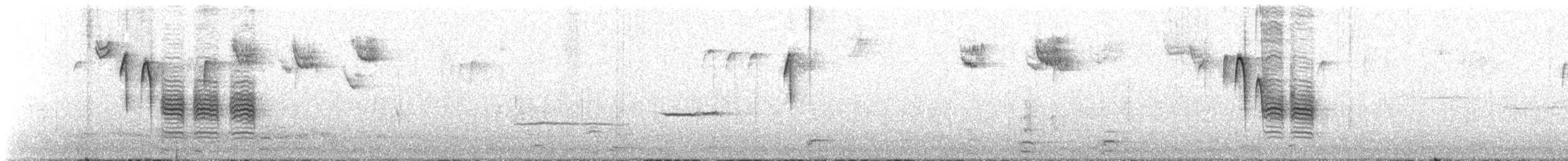 Black-capped Chickadee - ML644332274