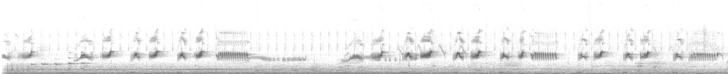 Grauralle - ML644332397