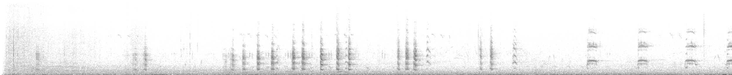 Andean Gull - ML644332650