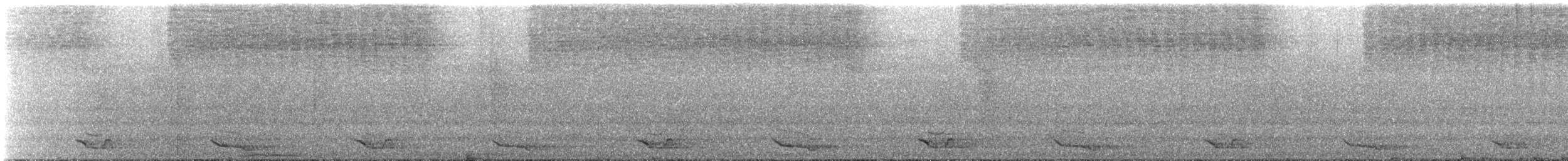 Quetzal resplendissant - ML644333748