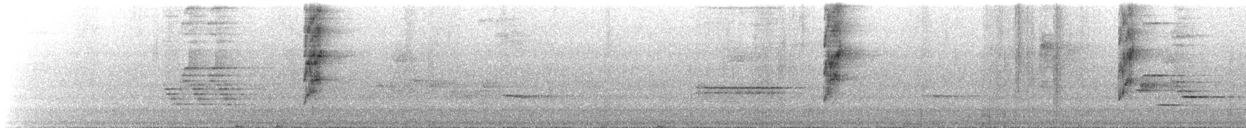 Tyranneau à bec court - ML644333790