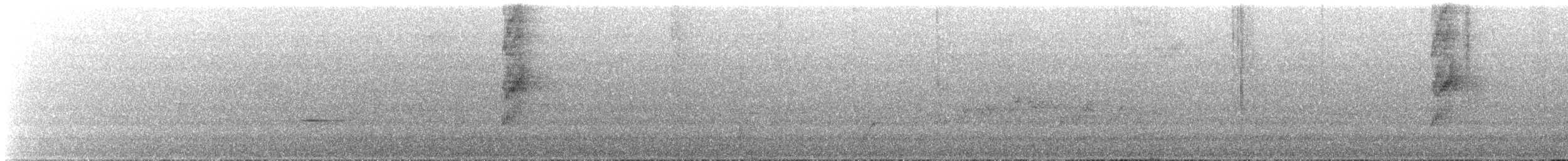 Tyranneau à bec court - ML644333792