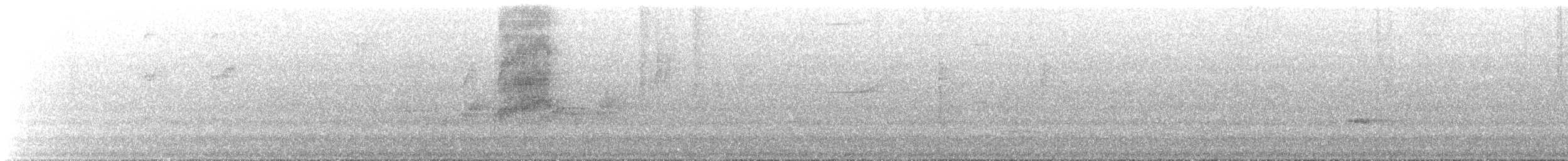 Tyranneau à bec court - ML644333793