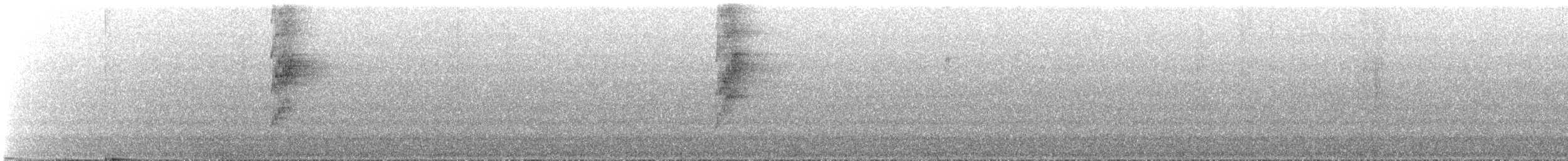 Tyranneau à bec court - ML644333828