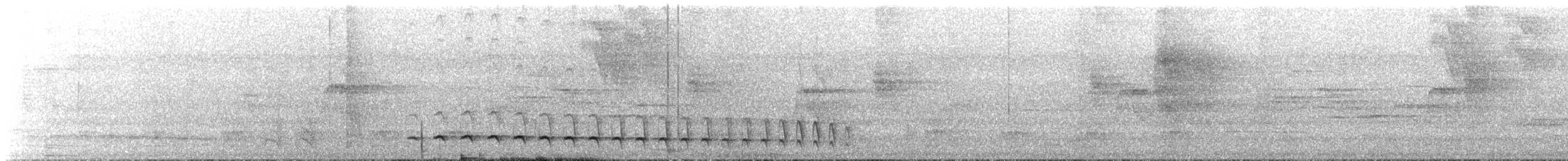 Plain Antvireo - ML644334467