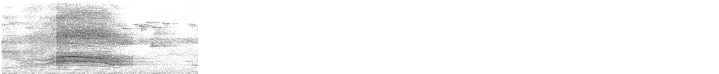 ネコドリ - ML644334707