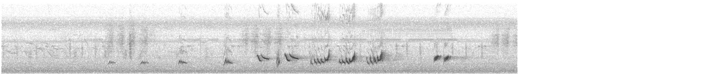 Northern Mockingbird - ML644334810