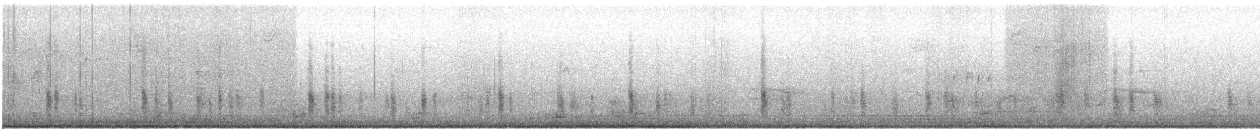 Quiscale bronzé (versicolor) - ML644334837