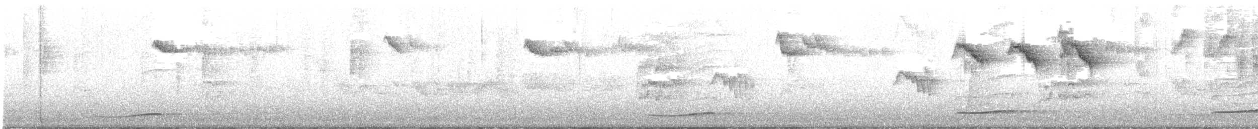 Pacific Koel - ML644335372