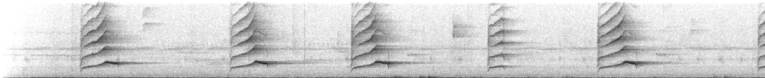 White-throated Thrush - ML644335398