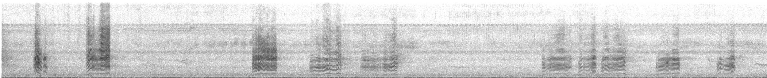 Yellow-collared Macaw - ML644335557