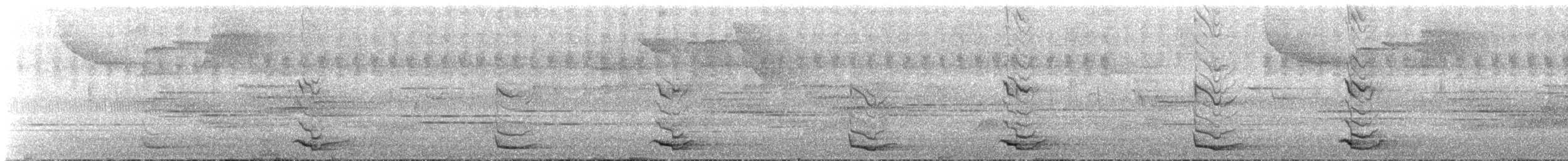 Quetzal resplendissant - ML644335780