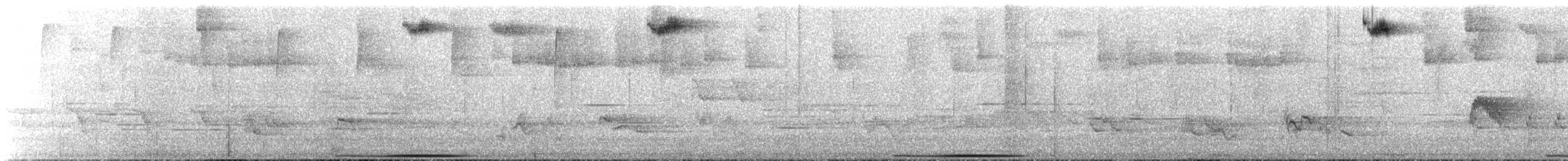 White-faced Quail-Dove - ML644335896