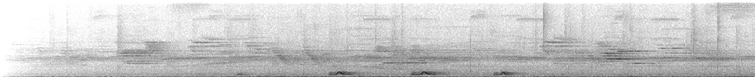 Chouette mouchetée - ML644336715