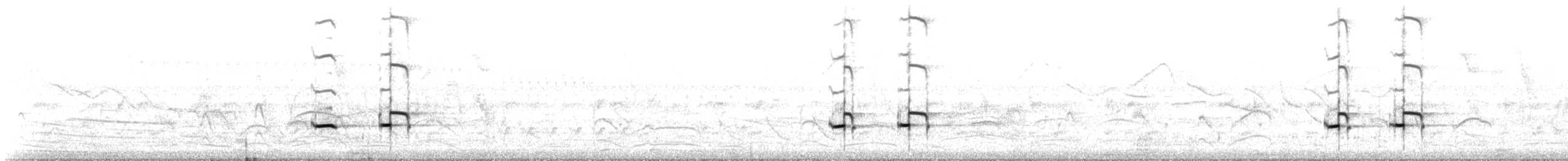 Striped Cuckoo - ML644337354