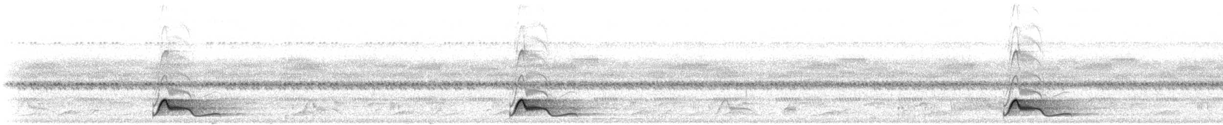 pauraquenattravn - ML644337458