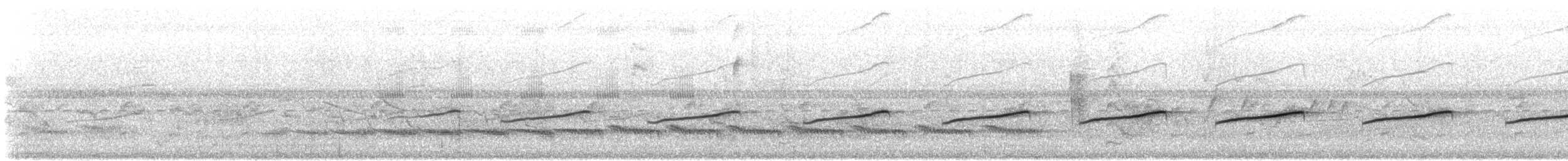 White-bellied Seedeater - ML644337540