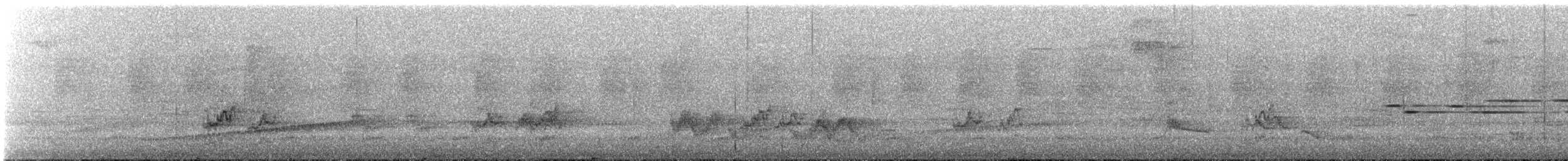 Barred Parakeet - ML644337657