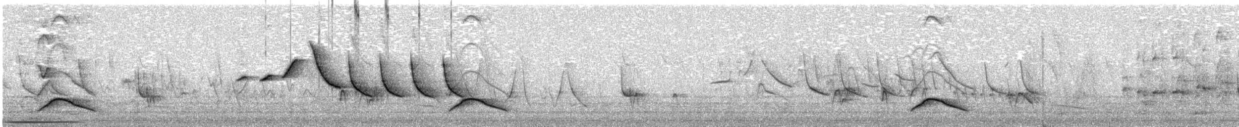 Large Elaenia - ML644337790