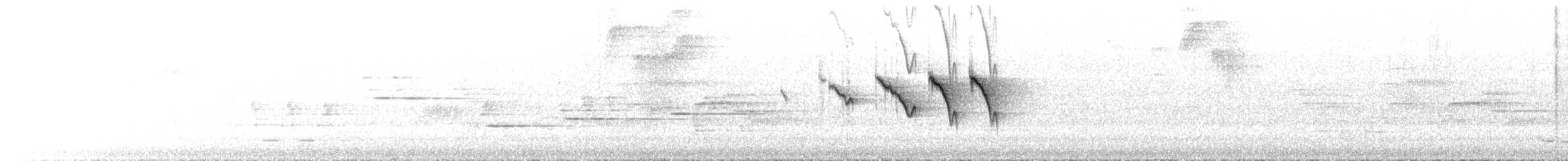 Paruline ardoisée - ML644337814