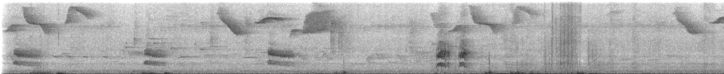 båndtrogon - ML644337856