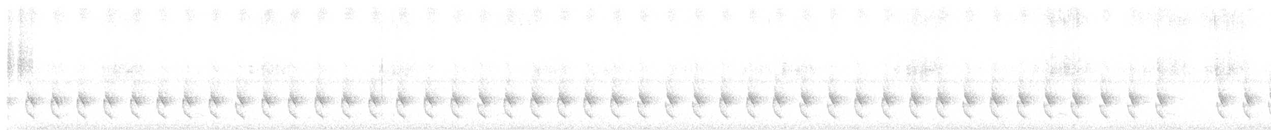 Churrín Coroniblanco - ML644338058