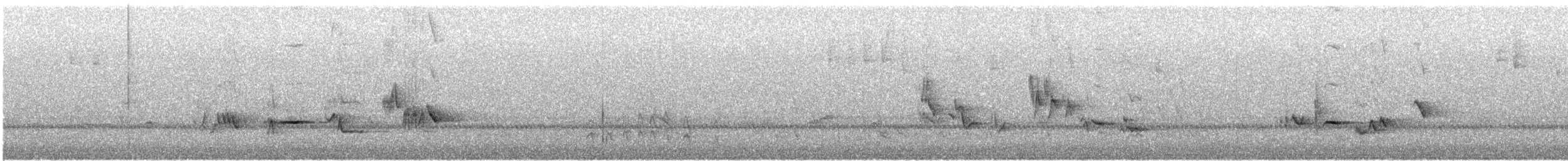 ハエトリツグミ - ML644338458