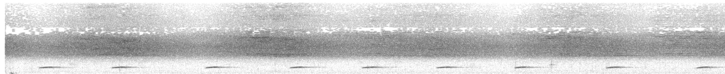 Tody Motmot - ML644338676