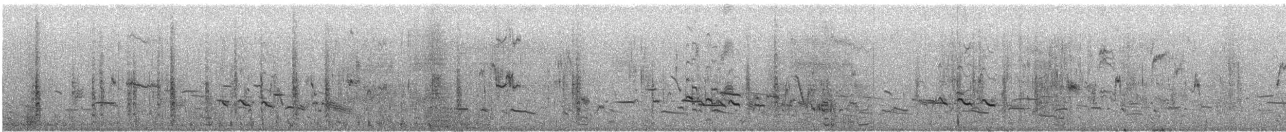 Brewer's Blackbird - ML644338718