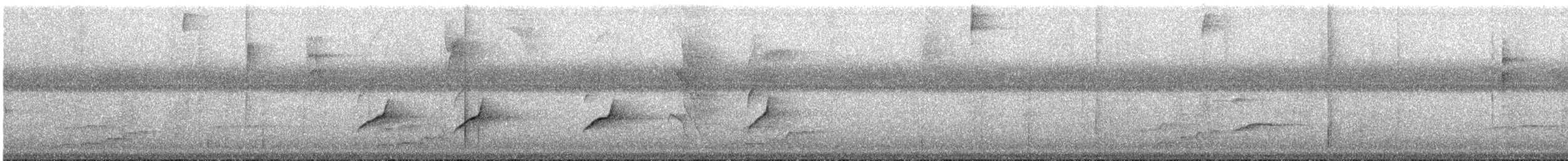 Slaty Antwren - ML644339847