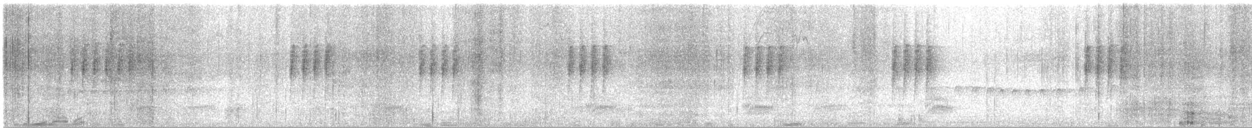 Покривник бразильський - ML644340246