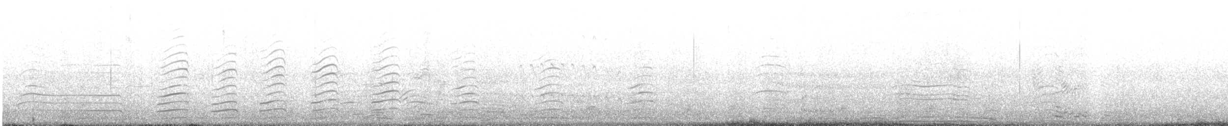 Goéland siméon - ML644341173