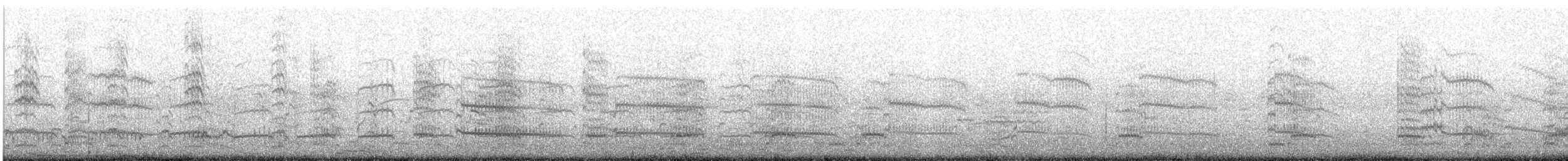 Andean Gull - ML644341266