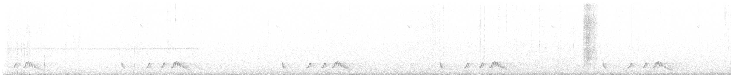 アカヨタカ - ML644341995