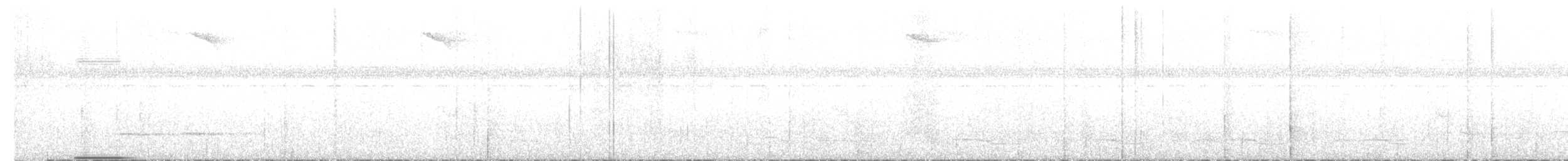 Rufous-breasted Antthrush - ML644342626