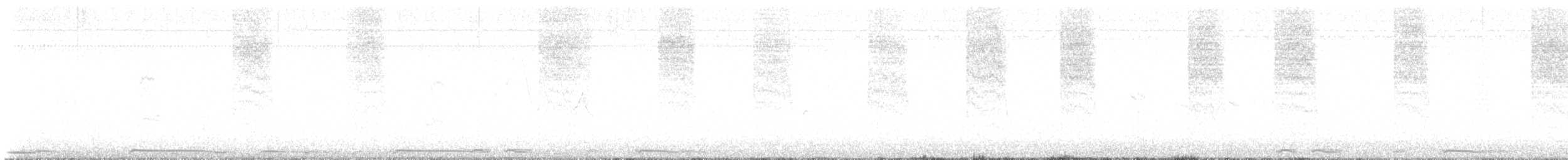 White-winged Dove - ML644342927