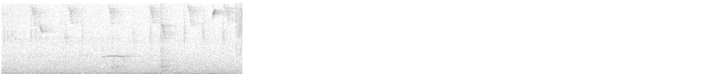 Mistletoe Tyrannulet - ML644343309