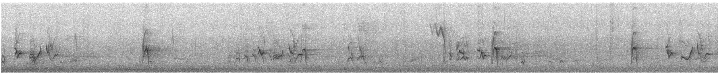 Purple Finch (Eastern) - ML644343349