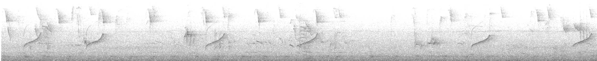 pendeltyrann - ML644343383