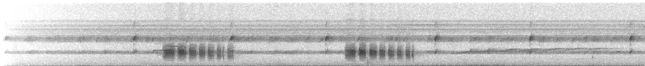 Black Antbird - ML644343766