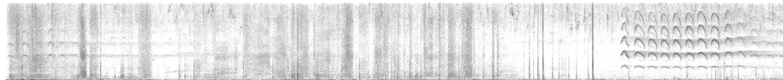 Faucon des chauves-souris - ML644343858